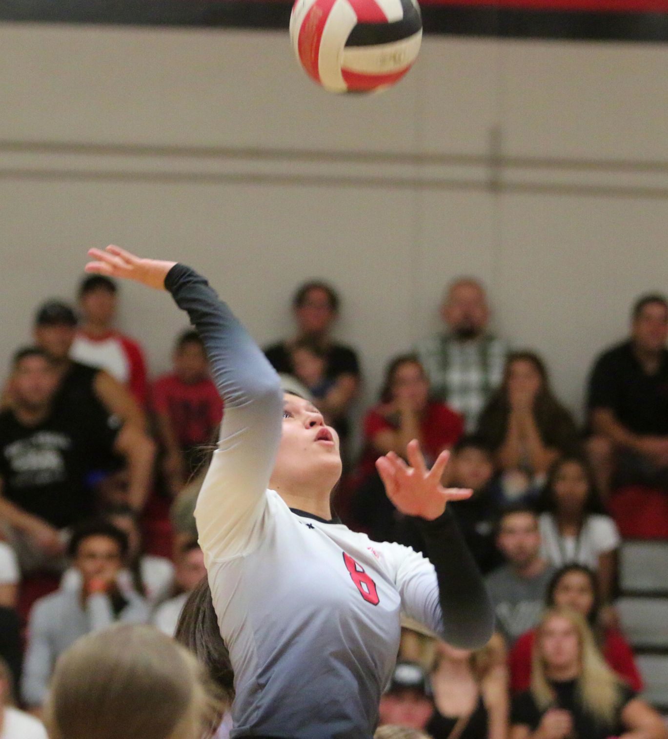 Golden Bears open season with victory over Bullpups